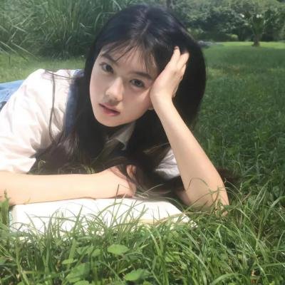 凤凰城故事高清在线观看封面