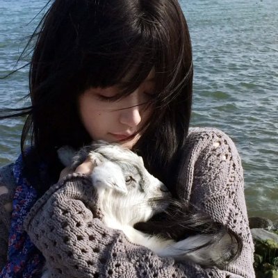 猴子捞月高清在线观看封面