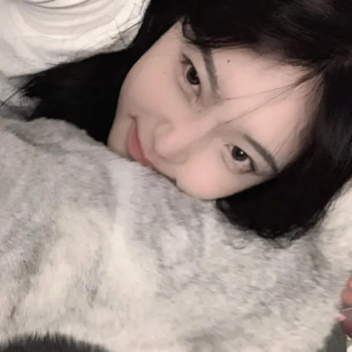 在我姐姐的婚纱里高清在线观看封面
